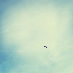 Low angle view of birds flying in sky