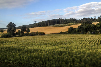 Scenic view of field against cloudy sky