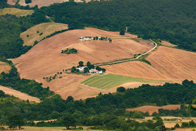 High angle view of agricultural field