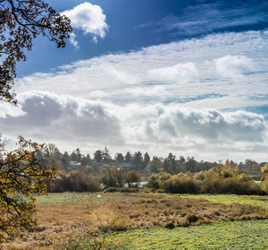 Scenic view of landscape against sky