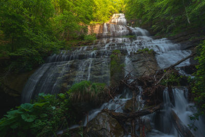 Waterfall in forest