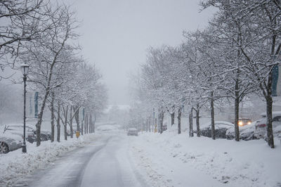 Snow covered road amidst trees against clear sky