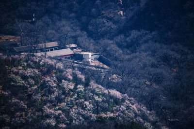 High angle view of trees and houses against sky