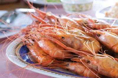 High angle view of seafood in plate