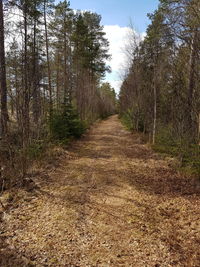 Dirt road amidst trees in forest against sky