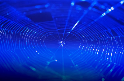 Full frame shot of spider web