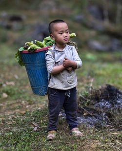 Full length of boy standing in basket on field