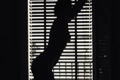 Man seen through blinds