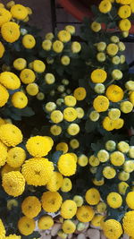 Full frame shot of yellow flowers at market