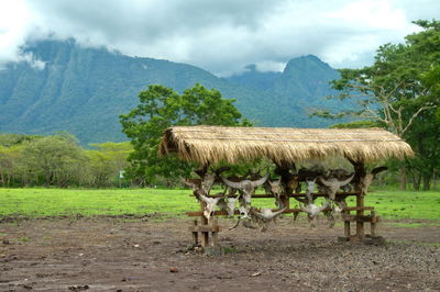 View of a horse on field against mountain range