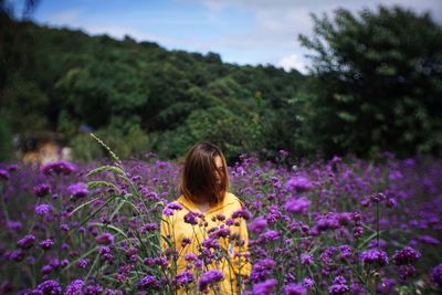 Woman standing amidst purple flowers on field