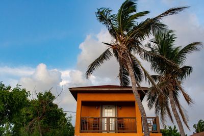 Low angle view of coconut palm tree against sky