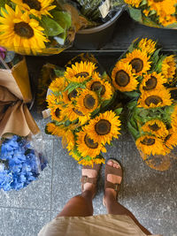 Woman standing next to the sunflowers for sale