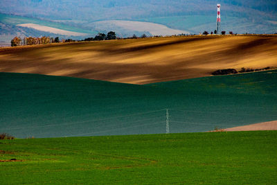 Scenic view of agricultural field