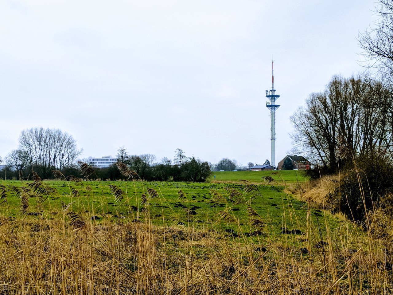 VIEW OF FIELD AGAINST SKY