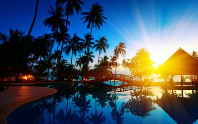 Palm trees by swimming pool against sky during sunset