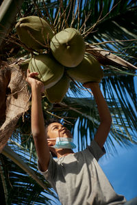 Low angle view of palm tree