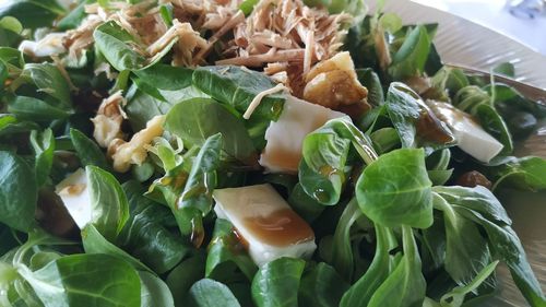 High angle view of chopped vegetables in plate