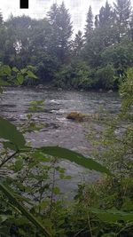 Scenic view of lake