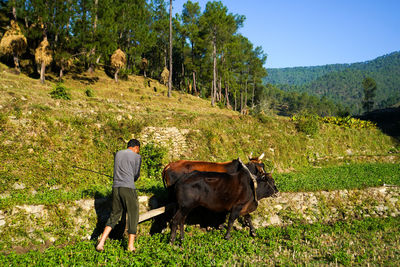 View of man on field