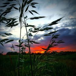 Scenic view of field against cloudy sky