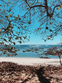 Scenic view of sea against clear blue sky