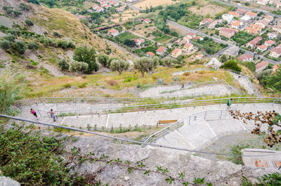 High angle view of road amidst trees and landscape