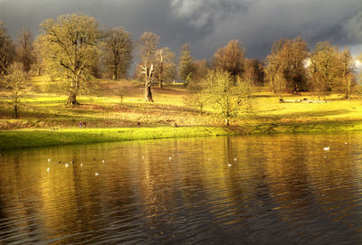 Scenic view of lake by trees against sky