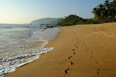 Scenic view of beach against clear sky