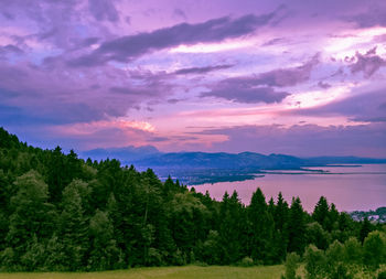 Scenic view of trees against sky during sunset