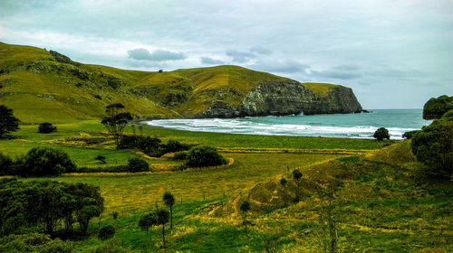 Scenic view of landscape against sky