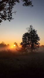 Silhouette trees on field against sky during sunset