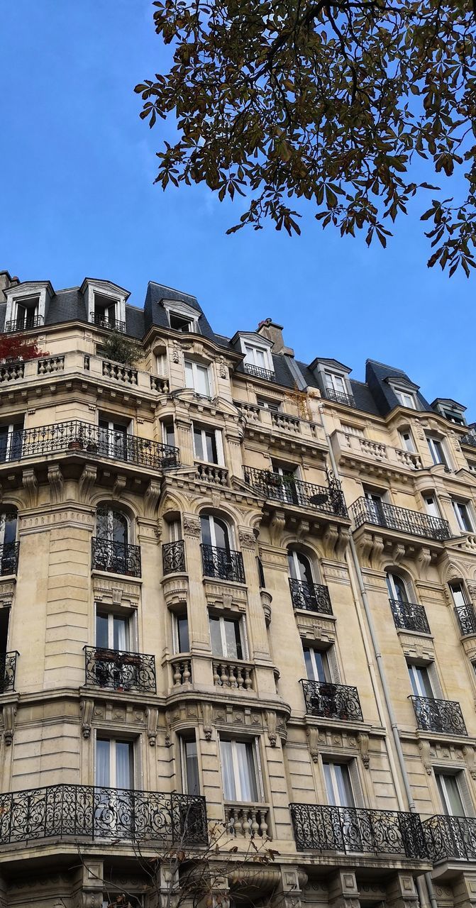 LOW ANGLE VIEW OF BUILDINGS IN CITY