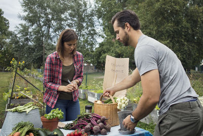 Mid adult couple arranging garden vegetables on table