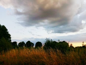 Scenic view of landscape against cloudy sky