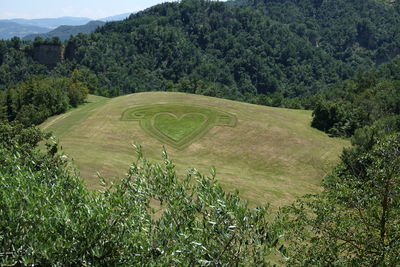 Scenic view of trees on field