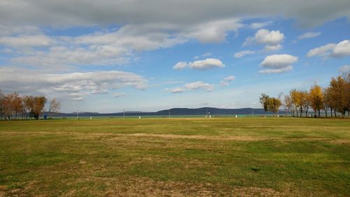 Scenic view of field against sky