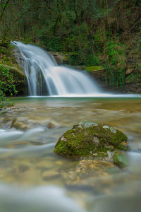 Scenic view of waterfall in forest