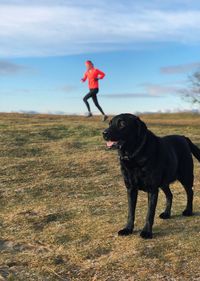 Side view of dog standing on field against sky