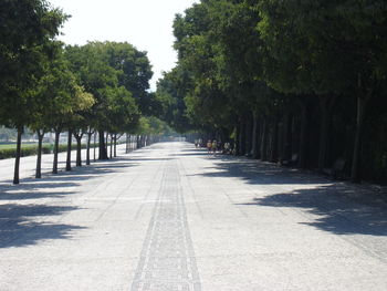 Road amidst trees against sky