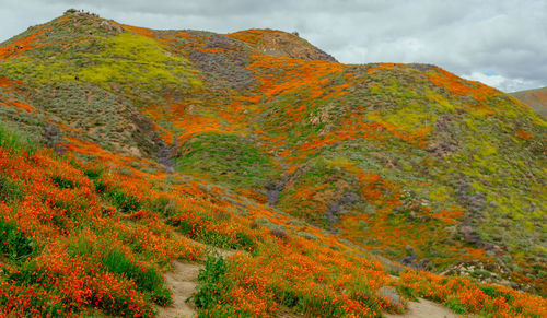 Scenic view of mountain against sky during autumn