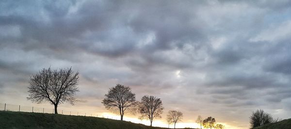 Low angle view of bare trees on field against cloudy sky