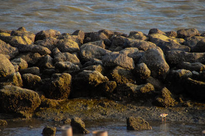 Rocks in sea