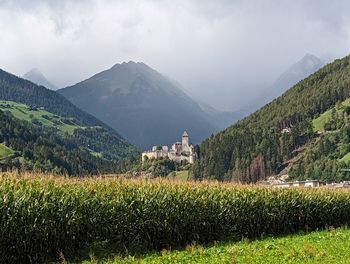 Scenic view of agricultural field against sky