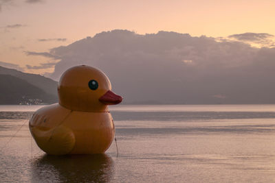 Close-up of animal representation on sea shore against sky during sunset