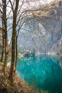 Scenic view of lake