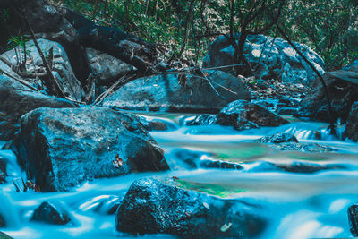 Surface level of water flowing in forest