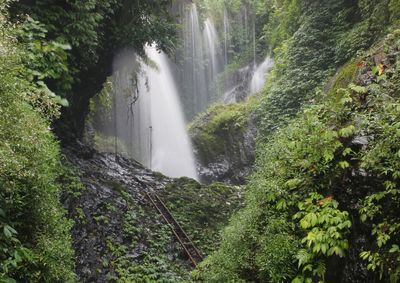 View of waterfall in forest
