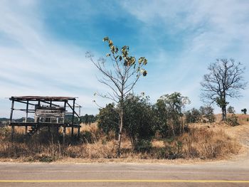 Road by trees against sky