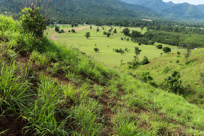 High angle view of landscape